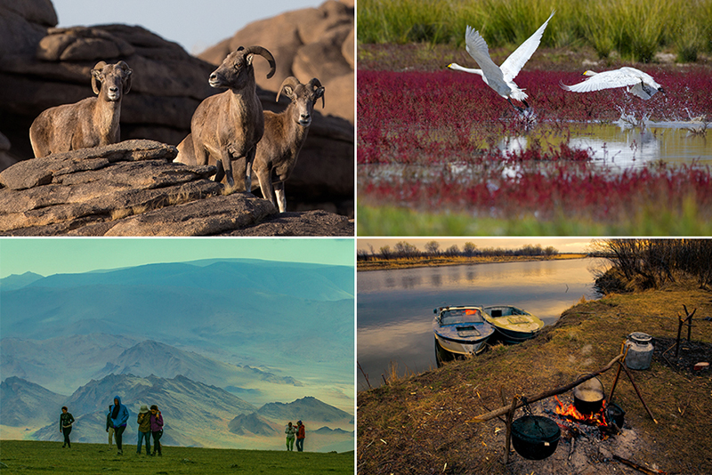 Events and Festivals in Mongolia 